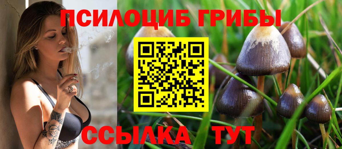 Меф кристаллы  КОКАИН  Вход с VPN  Алатырь  Марихуана 