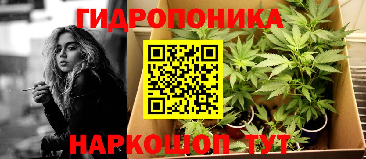 Бошки Шишки конопля Алатырь